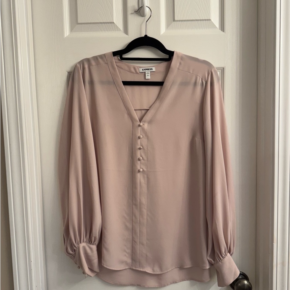 Express Blush Pink Sheer Button-Front V-Neck Long Sleeve Blouse
